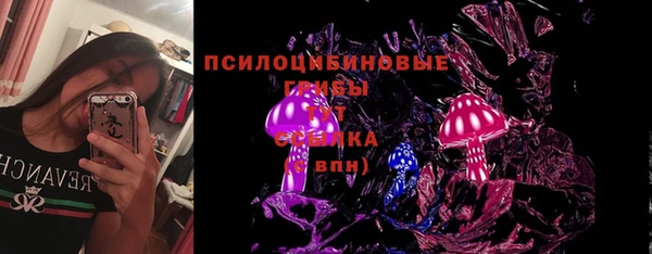 круглые Коряжма