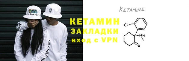 стафф Корсаков