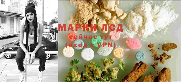 ПСИЛОЦИБИНОВЫЕ ГРИБЫ Козельск