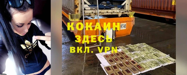 стафф Корсаков