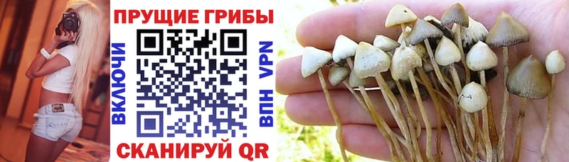 Галлюциногенные грибы ЛСД Купить Вельск